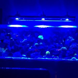 Meet your Posher, Gerard